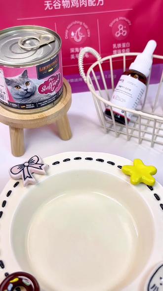 沉浸式16斤胖猫一顿吃什么?