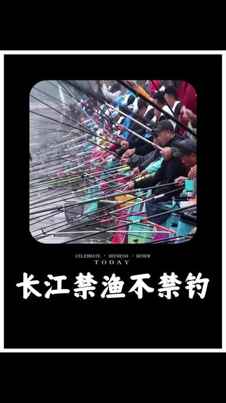 你知道为什么长江禁渔不禁钓?#钓鱼界又疯了一个 #全国钓鱼爱好者 #钓鱼圈新闻