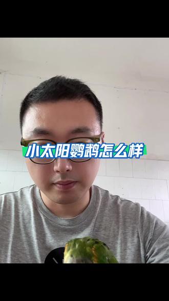 聊聊小太阳#小太阳鹦鹉