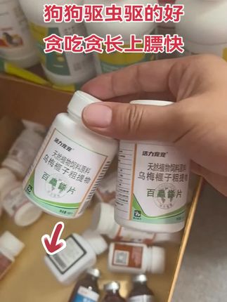 #百虫铩#狗狗#新手养狗#科学喂养#养狗人