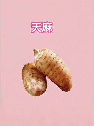 新鲜天麻煲汤炖肉汤鲜味美,好喝又营养#营养丰富 #优质农产品#天麻炖鸡#广东煲汤