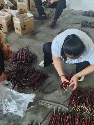抖音助农,新鲜直达