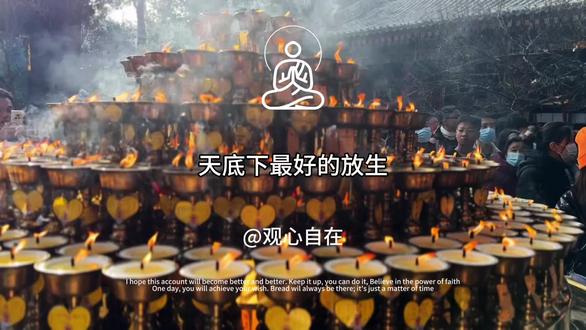天底下最好的放生,就是放生自己#放生 #佛学智慧 #放生自己 #人生感悟 #我要上热门🔥
