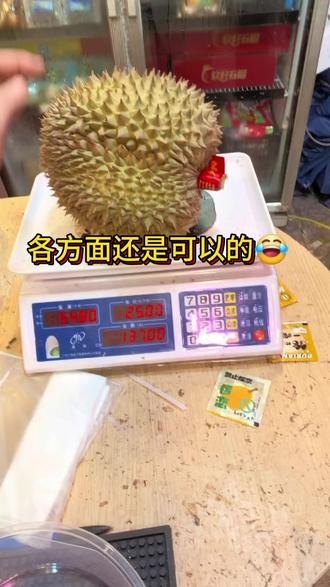 现在金煌的南部金枕各方面还是可以的!出肉率高,性价比高!#榴莲出肉率 #榴莲 #榴莲爱好者 #榴莲控