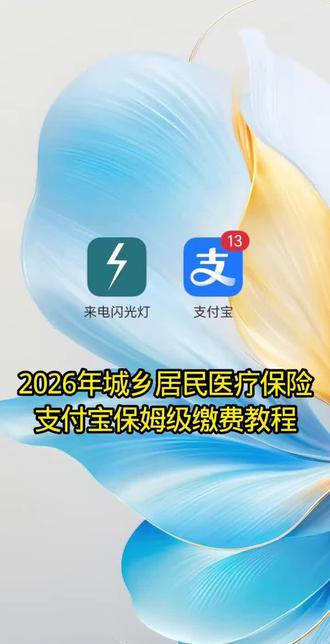 2026年支付宝医保教程,宝子们快跟上,