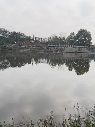 #钓鱼的乐趣只有钓鱼人懂 #休闲野钓 #野钓大板鲫 #钓鱼爱好者