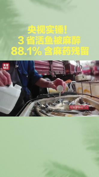 3 月 22 日央视暗访曝光:重庆、山东、安徽 3 省水产市场,大量活鱼被用丁香酚、工业酒精麻醉伪装鲜活!长期食用伤肝肾、危害家人健康,3 步辨别 + 2 步维权,买菜必看,转发给家里做饭的人!#央视曝光活鱼黑幕 #活鱼麻醉避坑 #食品安全 #中年家庭饮食安全#老丁解惑