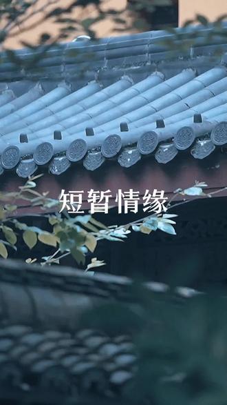 短暂情缘 那些来去匆匆的露水情缘,皆是前世未了的情债。三生石刻前世约定,化作今生万般纠缠。前世若无亏欠,今生便不会相见。他陪你走过一程,只为还清过往情分,一朝债缘两清,往后山水陌路,再无相逢……
#禅悟人生 #情感 #情感共鸣 #修心修行