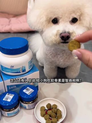 麦德氏鲨鱼软骨素囤货装的大羊毛来啦,#比熊#萌宠好物#麦德氏软骨素 #麦德氏鲨鱼软骨素 #狗狗软骨素