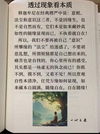#文脉里的中国 透过现象看本质#如来藏一心三藏 #天地万法皆是一念之所变现 #开悟的楞严经 #成佛的法华经