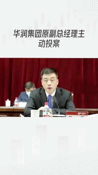 华润集团原副总经理主动投案