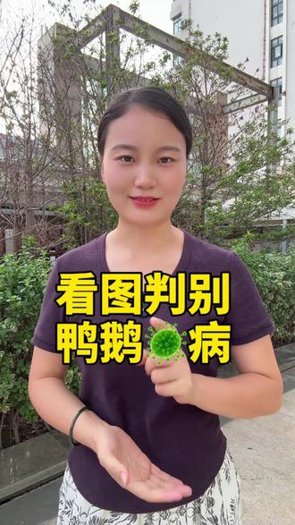 新手快速判断鸭鹅🦠病#养殖#鸭鹅#鸭子#鹅