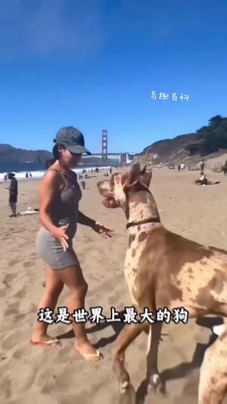 #动物#动物世界 #抖音#抖音二创激励计划