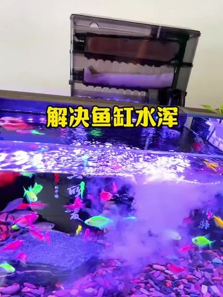 想要鱼缸水质清澈,加这个硝化细菌 #硝化细菌 #空气缸 #水族