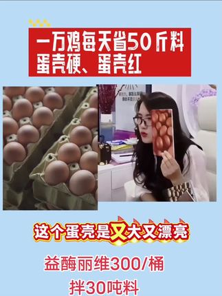 一万鸡一天省50-100斤料,改善过料,7-10天蛋壳又红又大又亮,减少破损蛋#董云讲蛋鸡#董云讲蛋鸡周兰#加强益酶丽维#蛋鸡#养鸡