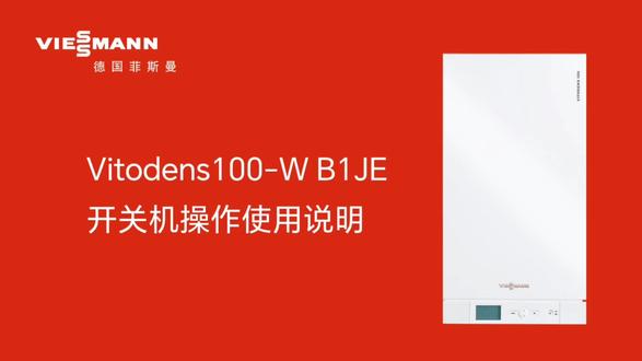 菲斯曼 Vitodens 100-W B1JE操作使用说明
