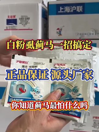 #蓟马 #蚜虫 #杀虫剂 #厂家直发品质保证 #效果好