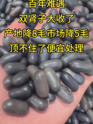 #双肾子#好物分享