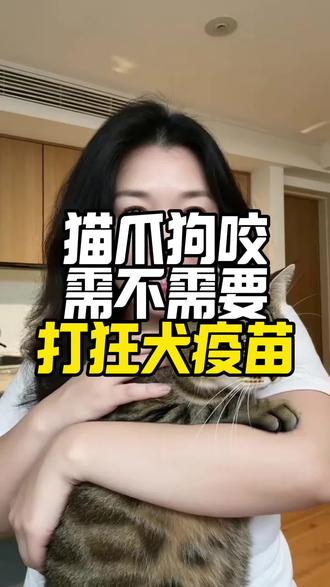 被猫狗抓伤咬伤应该怎么处理!#狗狗#宠物#萌宠#新手养狗#科学养狗