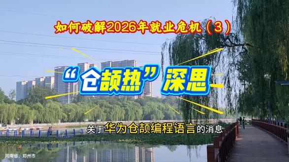 为华为喝彩!仓颉热引发创就业风口#原创视频 #华为#数字中国#后30年干点啥