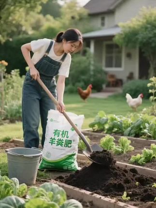 有机羊粪肥,种地养花的“天然黄金肥” 羊粪经自然腐熟,无臭不烧根,富含氮磷钾和有机质。 松土壤、促根系,种菜更嫩甜,养花爆盆艳,连果蔬都带着自然香!袋装即用,新手也能种出有机好作物,有机种植选它就对~#羊粪有机肥#有机羊粪肥#种花#种菜#超便宜超划算