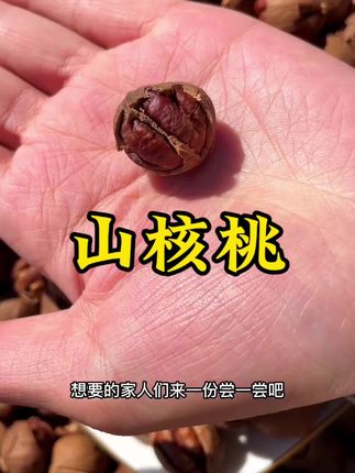 临安正宗山核桃#山核桃