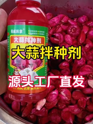 大蒜拌种剂厂家直销 #大蒜种植#大蒜管理#大蒜高产#大蒜拌种剂#农业种植