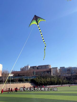 新手小白撒手就飞的经典大草原风筝 #今日分享 #风筝带你飞 #玩出新花样 #放风筝 #风筝