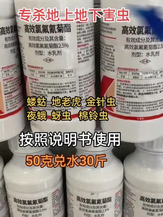 鑫乐农夫高效氯氟氰菊酯#三农种植 #高效氯氟氰菊酯 #心系三农服务三农 #抖音助农#D0U+上热门