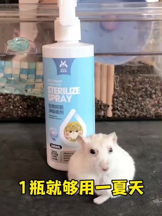 夏天养鼠,杀菌驱虫除臭喷雾少不了❗️#仓鼠驱虫 #仓鼠驱虫喷雾 #仓鼠驱虫除臭喷雾 #在抖音入手的好东西