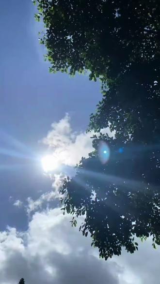 经常熬夜肤色暗沉的姐妹都来用这个377小灯泡精华纯韩国原装进口坚持使用真的会有改善#377精华液 #韩国进口 #zmbeauty#好皮肤养出来