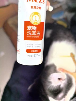 #耳螨 #猫咪清洁 #科学养宠攻略 #宠物洗耳液 #萌宠好物