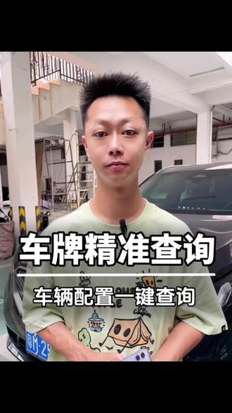 手把手教你车牌查车辆信息 #车牌查车辆信息 #车辆信息查询 #每天一个用车知识 #带你懂车 #闪电查车