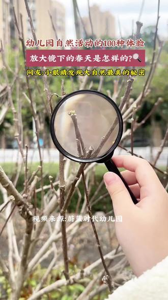 🌿放大镜下的春天,孩子们会有什么发现? #春天带萌娃感受大自然 #蔚蓝时代教育集团#蔚蓝时代幼儿园#蔚蓝时代曹英连#自然教育