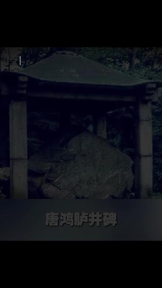 百年掠夺终要还!唐鸿胪井碑追索战,看中国如何让历史欠债者跪地认错! #唐鸿胪井碑追索战