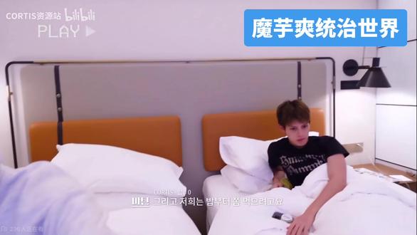 人类猫条出现#cortis #赵雨凡#马丁#魔芋爽