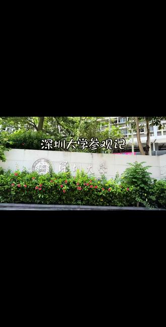 深圳大学参观记 深圳大学丽湖校区#深圳大学 #深圳大学丽湖校区 #深圳大学参观攻略 #伐木餐厅 #大学