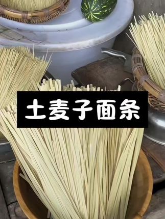 贵州高山土麦子面条,麦香味浓郁劲道好!吃一次爱一次,好吃得停不下来,你们喜欢吃吗?喜欢的老乡抓紧下手喽!#土麦子面条#妈呀太香了#爱生活爱美食#贵州特色美食#美食分享