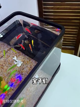 鱼缸小型客厅2025新款过滤制氧一体机生态造景躲避屋摆件金鱼缸