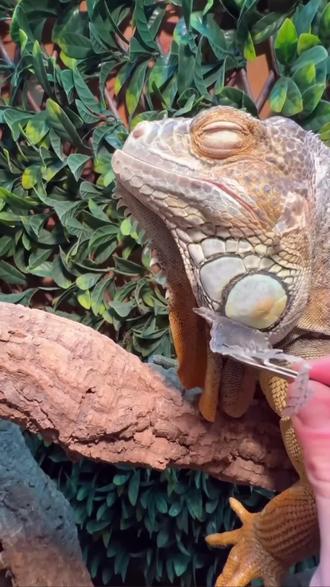 五种常见病中医教你调#中医#抖出健康知识宝藏#我的年度健康盘点#涨知识医疗科普