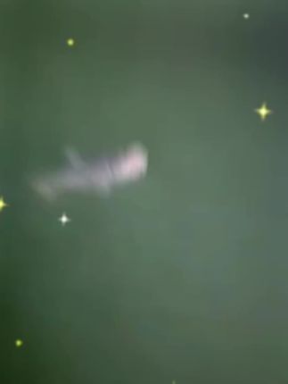 这个鲢鳙浮漂就够资格了!直接升级成OLED灯珠,随便多长的竿子也能看清楚#夜光漂 #鲢鳙浮漂 #咬钩变色电子漂 #浮漂鱼漂 #李不懂户外渔具