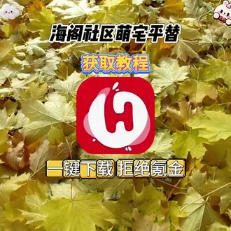 《开心好玩》#galgame #海阁社区 #海阁社区怎么下载 #宅社区平替软件 #海阁社区最新版