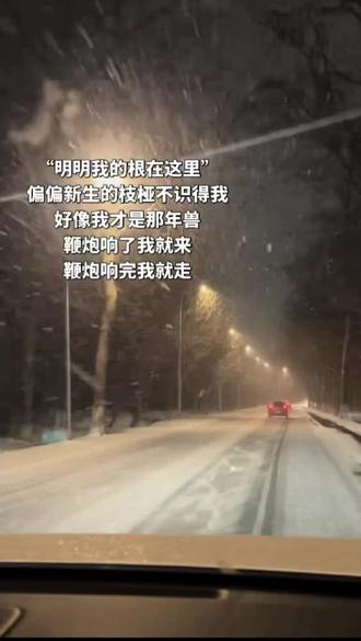 好像我才是那年兽
鞭炮响了,我就来
鞭炮响完,我就走