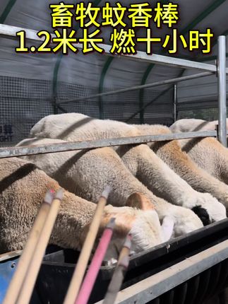 养殖场常备畜牧蚊香棒,一根1.2米长可燃8-10小时,可管100平方,每晚一根蚊蝇落满地#养殖#养殖好帮手#畜牧蚊香棒#养殖场专用#农村养殖创业