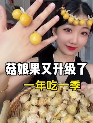 菇娘果编法又升级了,真是跟不上了!哈哈,也叫姑娘果,东北新鲜采摘,菇娘果测评 #妈呀太香了 #谁懂这一口的好吃程度 #你的中秋团圆搭子前来报到 #姑娘果 #菇娘果