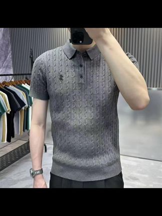 老钱风刺绣翻领短袖毛衣男秋装半袖针织衫2025秋冬季新款男士t恤#新款分享 #刺绣翻领针织衫#潮男必备 #版型好看