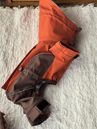 被这个橘色雨衣硬控了 #狗雨衣 #汤尼熊 #狗狗衣服