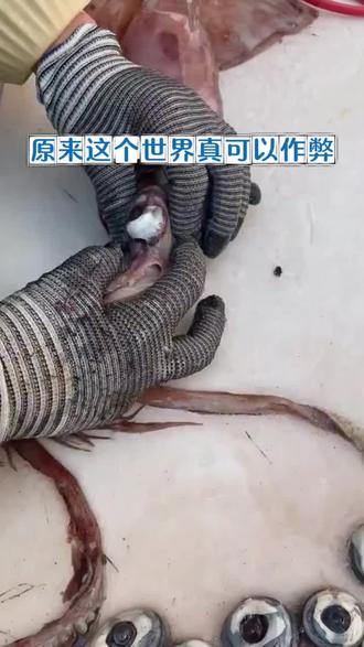 不用乱花冤枉钱,中医教你调#中医 #小知识683 #抖出健康知识宝藏#我的健康年度盘点我的宝藏秋大夫终于被发现了雀氏不错!!