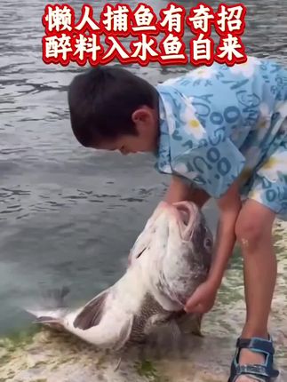 懒人捕鱼有奇招#真实户外 #民间手艺 #民间实拍 #鱼获满满