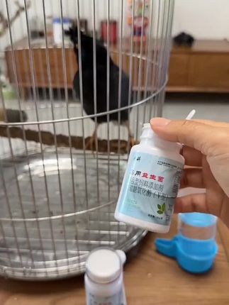 宠物鸟八哥鹦鹉益生菌呵护肠胃粪便不成形水便促消化